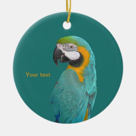Het portret Blue en Gold Macaw personaliseren Keramisch Ornament (Voorkant)