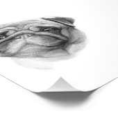 Het portret Pug | Cute Pug Dog Face Foto Afdruk (Hoek)