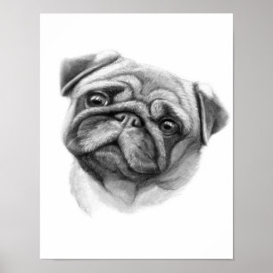 Het portret Pug Cute Pug Dog Face Poster