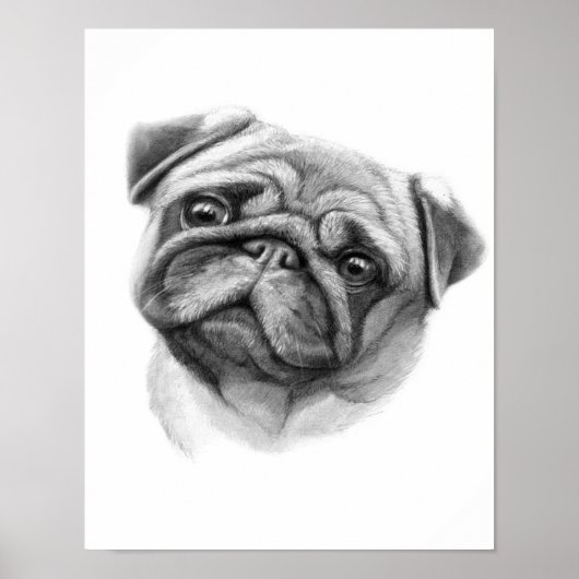 Het portret Pug | Cute Pug Dog Face Poster (Voorkant)