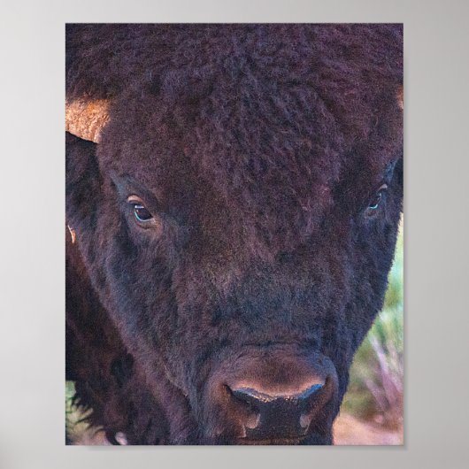 Het portret van Bill Poster (Voorkant)