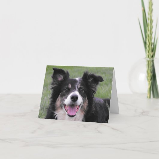 Het Portret van border collie Bedankkaart (Voorkant)