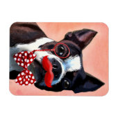 Het Portret van Boston Terrier met het Stropdas Re Magneet (Horizontaal)