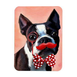 Het Portret van Boston Terrier met het Stropdas Re Magneet
