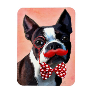 Het Portret van Boston Terrier met het Stropdas Re Magneet