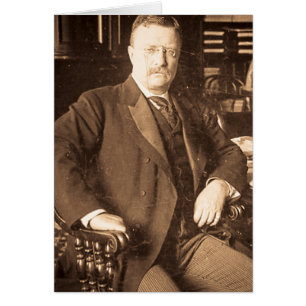 Het  portret van Bull Moose Teddy Roosevelt