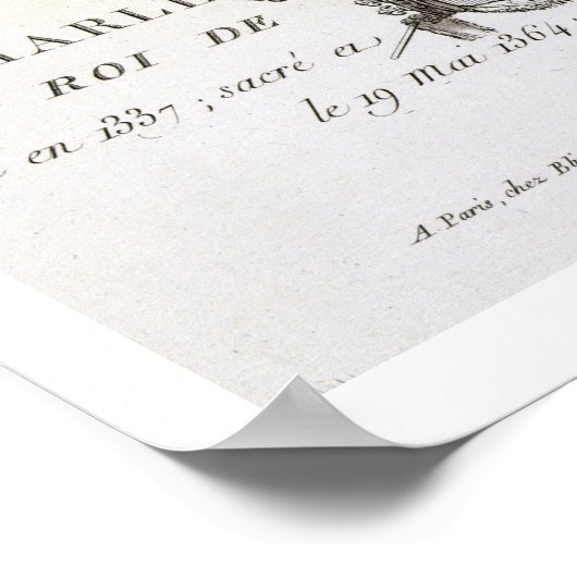 Het portret van Charles V, de zogenaamde 'The Wise Poster (Hoek)