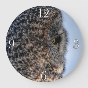 Het portret van de foto van de Grote Grijze Owl Wi Klok