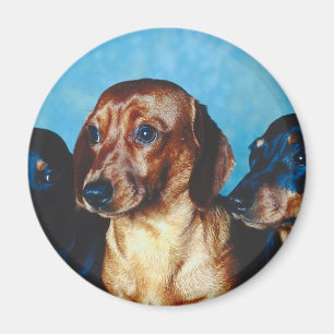Het Portret van de hond Magneet