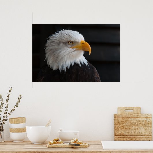 Het portret van de mooie kale adelaar poster (Keuken)