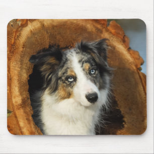 Het portret van de schattige hond aan de rand Coll Muismat