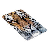 Het Portret van de tijger in de Grafische Stijl va Magneet (Rechterzijde)