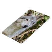 Het Portret van de wolf Magneet (Linkerzijde)