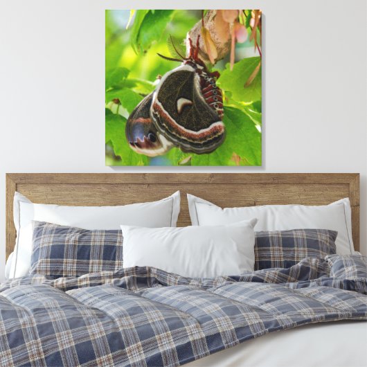 Het portret van de zijde Moth Wings Canvas Afdruk (Insitu (Slaapkamer))