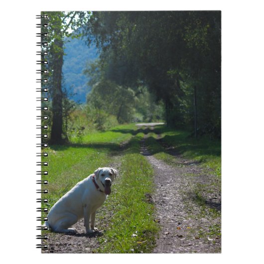 Het portret van een gouden recuperator die neer zi notitieboek (Voorkant)