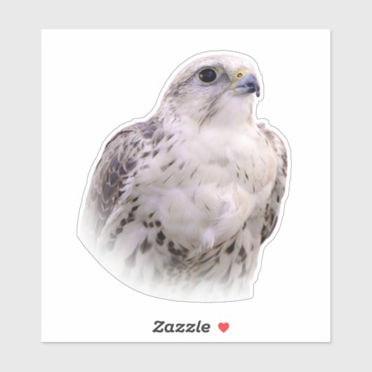 Het portret van een Inquisitive Saker Falcon Sticker (Vel)