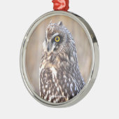 Het portret van een kortehagel in de moerassen metalen ornament (Links)