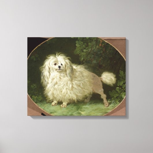 Het portret van een Podle Canvas Afdruk (Voorkant)