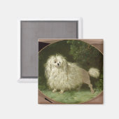 Het portret van een Podle Magneet (Voorkant / Achterkant)