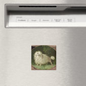 Het portret van een Podle Magneet (Insitu (Vaatwasser))