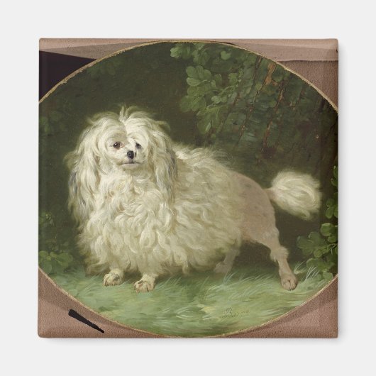 Het portret van een Podle Magneet (Voorkant)