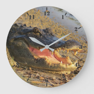 Het portret van Florida Grote Klok