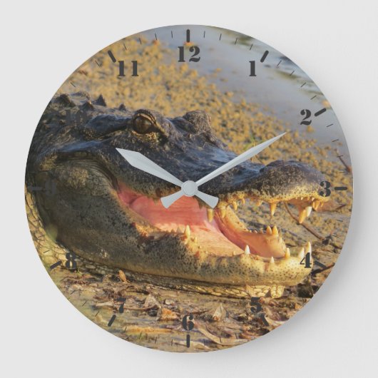 Het portret van Florida Grote Klok (Voorkant)