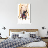 Het portret van Great Dane en Dachshund Canvas Afdruk (Insitu (Slaapkamer))