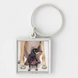 Het portret van Great Dane en Dachshund Sleutelhanger