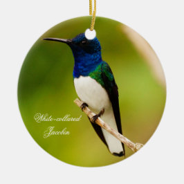 Het portret van het Ornament van de Ronde van de O