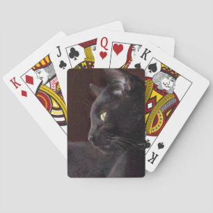 Het portret van mijn jongen, Charlie Plays Kaarten