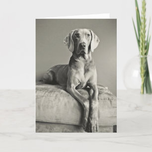 Het Portret van Weimaraner Kaart