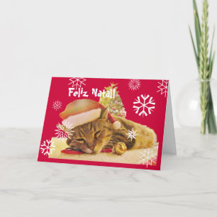 Het Portugees: Het Kat/Gatinho van Kerstmis geen Feestdagen Kaart