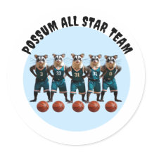 Het Possum All Star basketbalteam