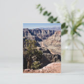 Het postcardcopy Punt van de guano - Briefkaart (Staand voorkant)