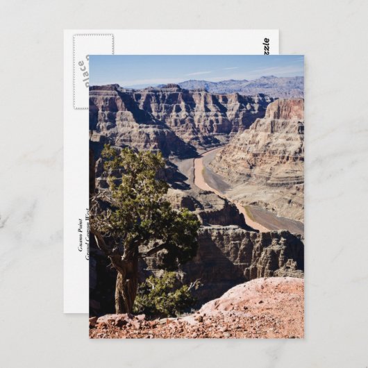 Het postcardcopy Punt van de guano - Briefkaart (Voorkant / Achterkant)