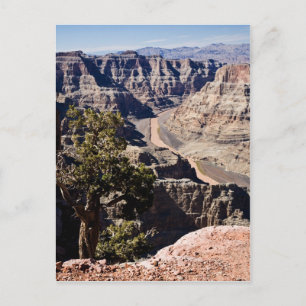 Het postcardcopy Punt van de guano - Briefkaart