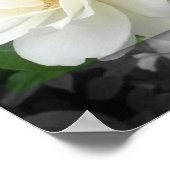 Het POSTER 14x11, Wit nam toe (Hoek)