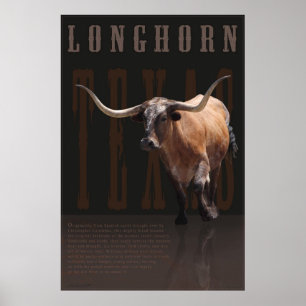 Het Poster -40x60 van de Erfenis van Longhorn -