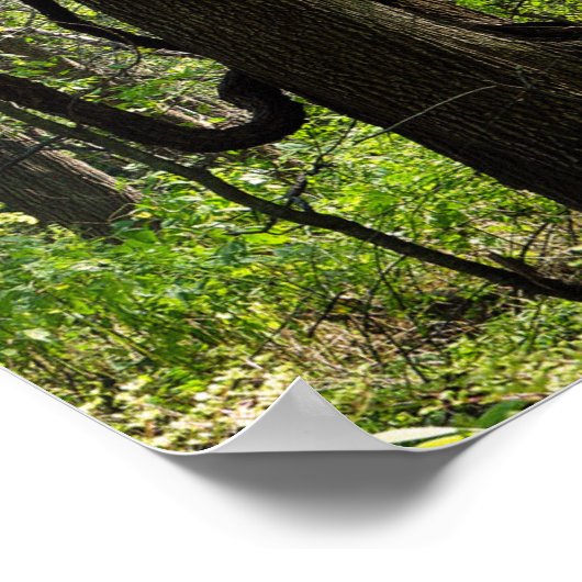 Het poster bossen (Hoek)