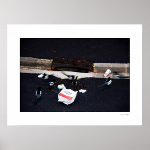 HET Poster CHOLESTEROL THIEVEN