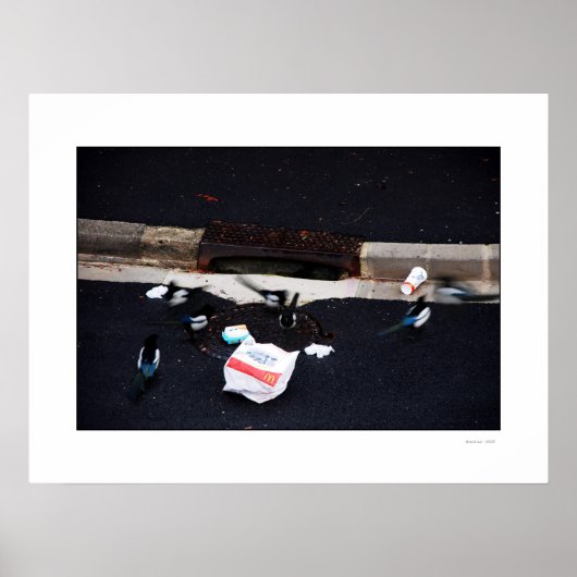 HET Poster CHOLESTEROL THIEVEN (Voorkant)