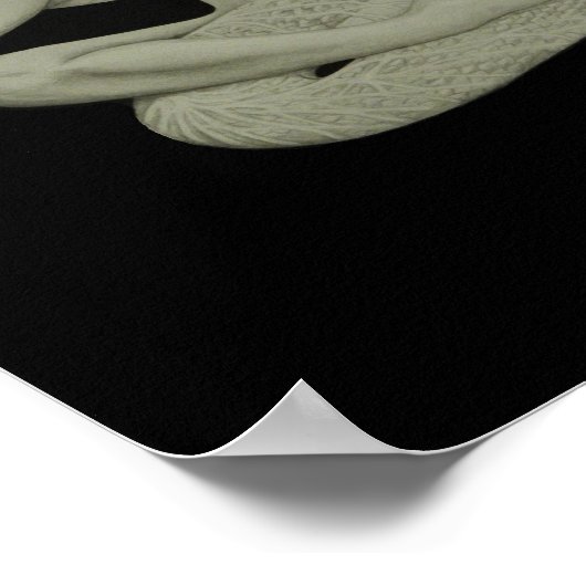 het poster met de drakenkoningin (Hoek)