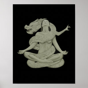 het poster met de drakenkoningin