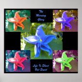 Het Poster Morning Glory (Voorkant)