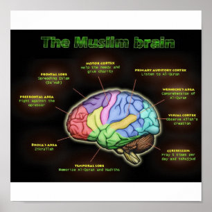 HET Poster MUSLIM BRAIN