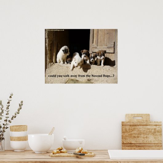 Het poster Nowzad Puppies (Keuken)