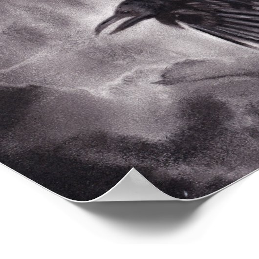 Het Poster Omen Raven (Hoek)