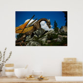 Het Poster op de heuvel (Keuken)