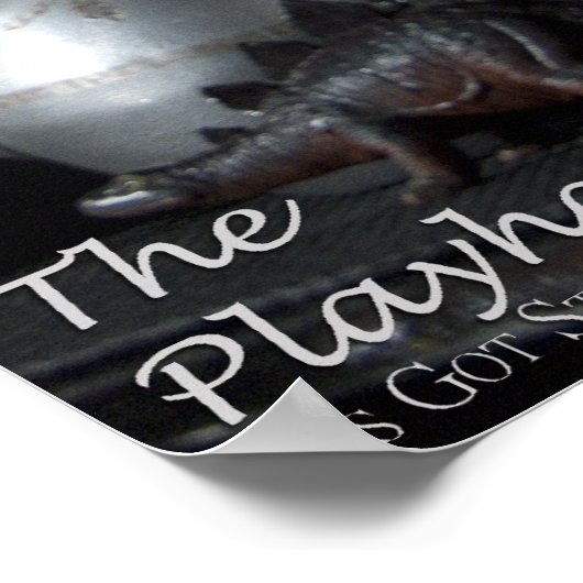 Het Poster Playhaus (Hoek)